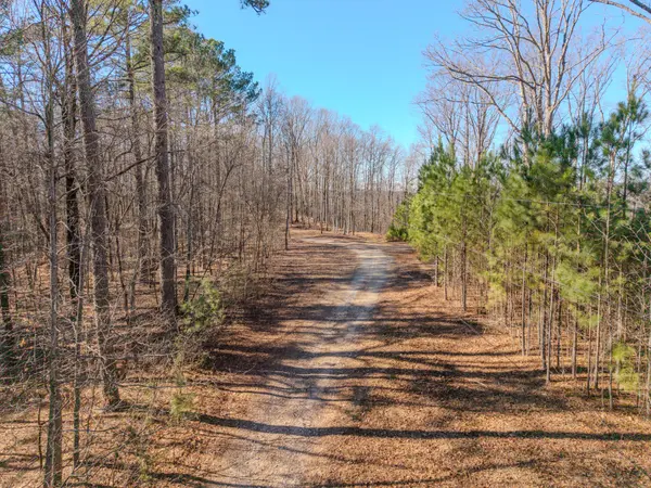 0 Murrell Bench Rd, Belvidere, TN 37306