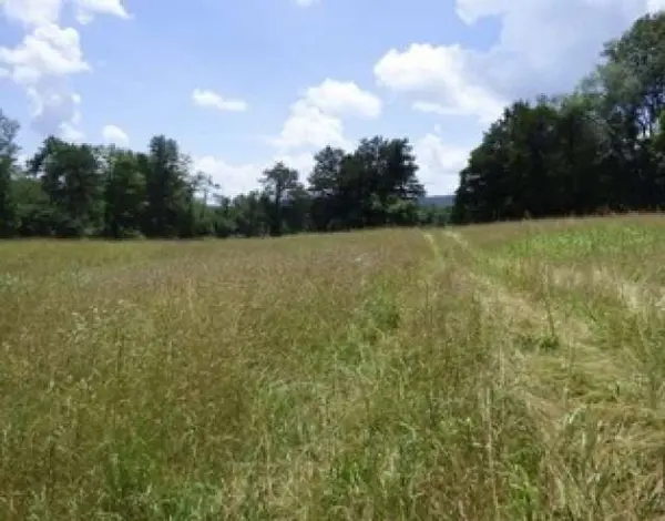 1576 Sheltontown Road, Albany, KY 42602