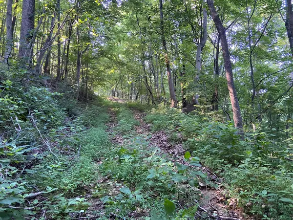 3147 Dale Ridge Rd, Dowelltown, TN 37059