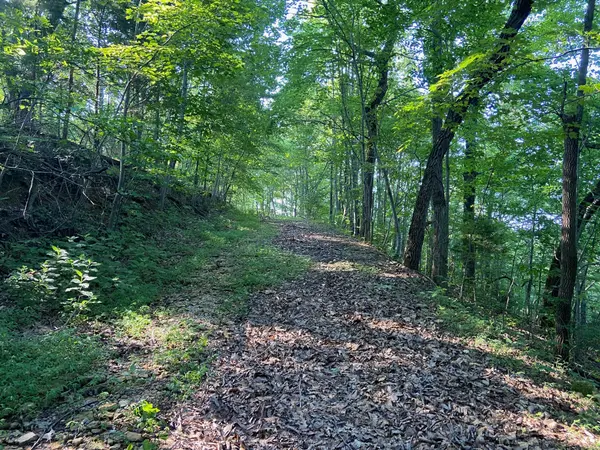 3147 Dale Ridge Rd, Dowelltown, TN 37059