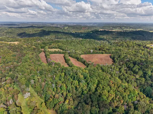 1143 Old Elkton Pike, Dellrose, TN 38453