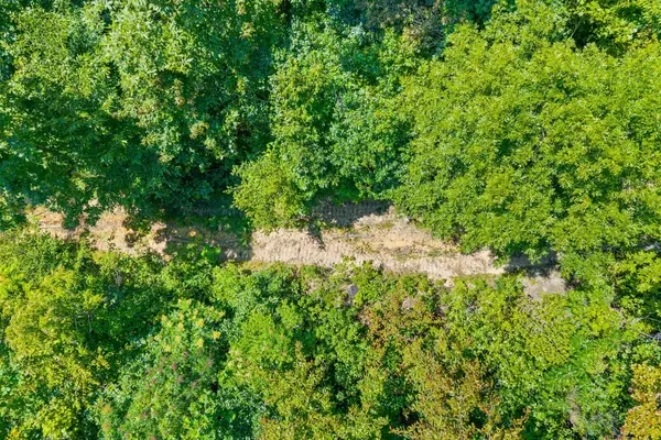 5 Lyle Hollow Rd, Palmyra, TN 37142