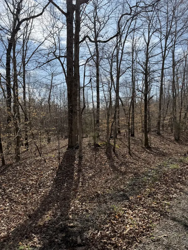 1 Highway Coxburg Rd S, Holladay, TN 38341