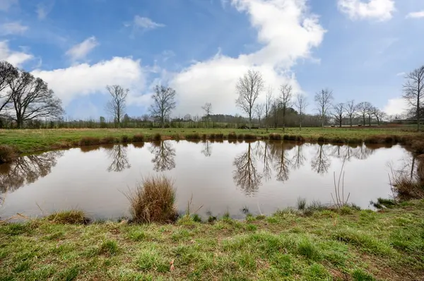 8A Shannon Road, Ardmore, AL 35739