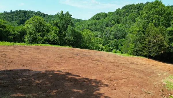 0 Robinson Rd, Frankewing, TN 38459
