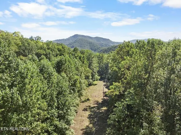 33 South Highway 32, Cosby, TN 37722