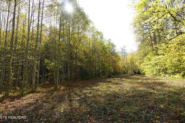 33 South Highway 32, Cosby, TN 37722