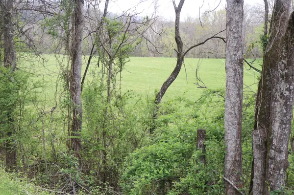 0 Club Springs Rd, Elmwood, TN 38560