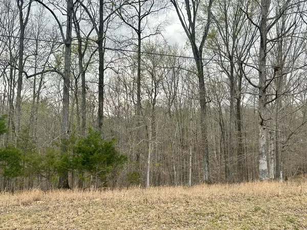 1020 Ed sanders Rd, Lynchburg, TN 37352