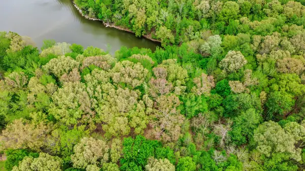0 Waters Edge Lane, Bumpus Mills, TN 37028