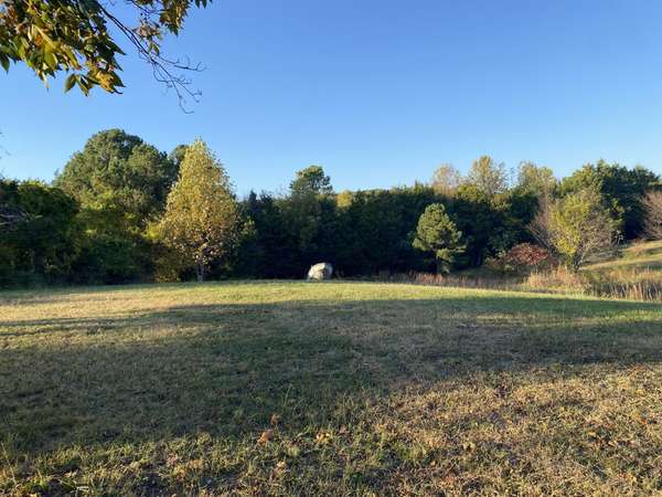 233 County Road 365, Sweetwater, TN 37874