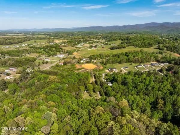 110 Keller Rd, Afton, TN 37616