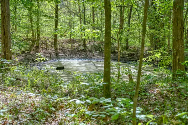 299 Poor House Hollow Ln, Gainesboro, TN 38562