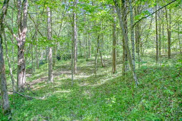 299 Poor House Hollow Ln, Gainesboro, TN 38562