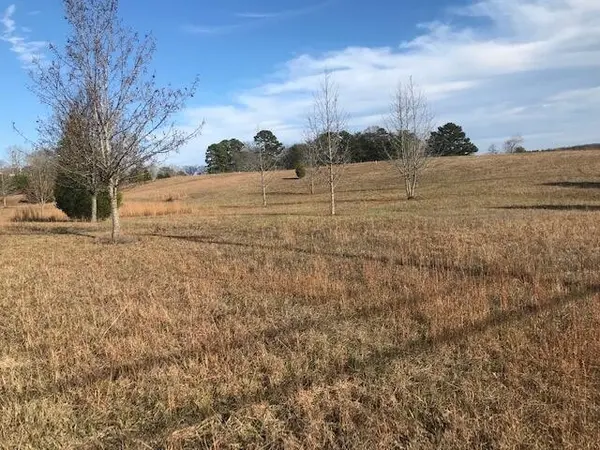 2367 Daugherty Ferry Road, Bakewell, TN 37373
