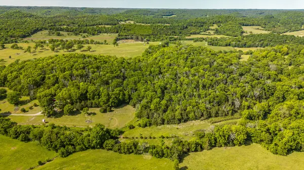 73 Shoulders Ln, Dixon Springs, TN 37057