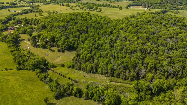 73 Shoulders Ln, Dixon Springs, TN 37057