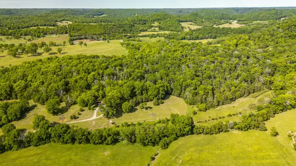 73 Shoulders Ln, Dixon Springs, TN 37057