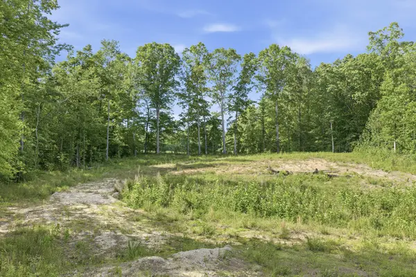 1761 Pugh Rd, Holladay, TN 38341