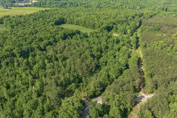 1761 Pugh Rd, Holladay, TN 38341