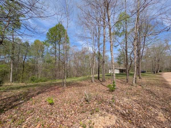 10740 Bear Creek Rd, Bon Aqua, TN 37025