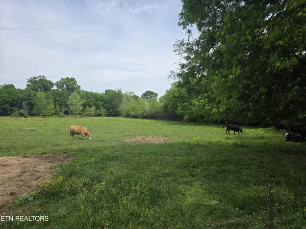 1 Maloneyville Rd, Corryton, TN 37721