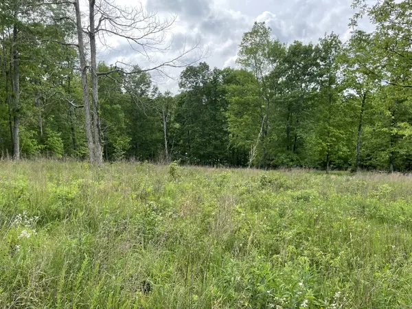 208 W Richview Rd, Cumberland City, TN 37050