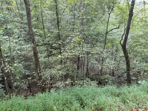 0 Chancel Circle, Ellijay, GA 30540