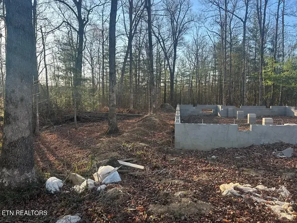 239 Sewell Drive, Allardt, TN 38504