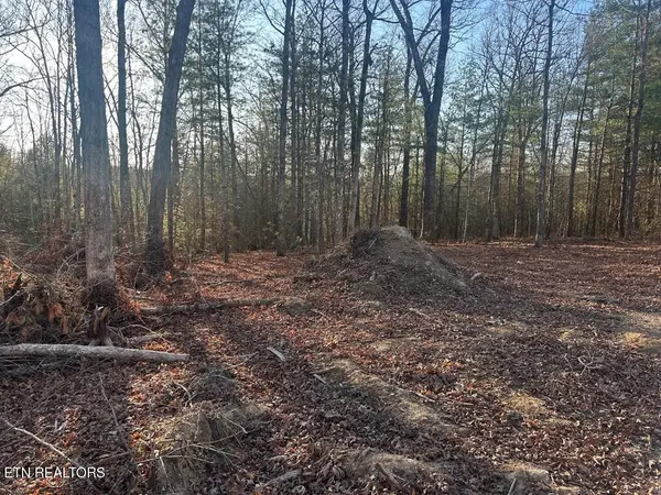 239 Sewell Drive, Allardt, TN 38504
