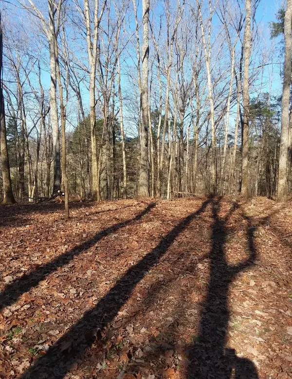 10 Cedar Bluff Road, Lafayette, TN 37083