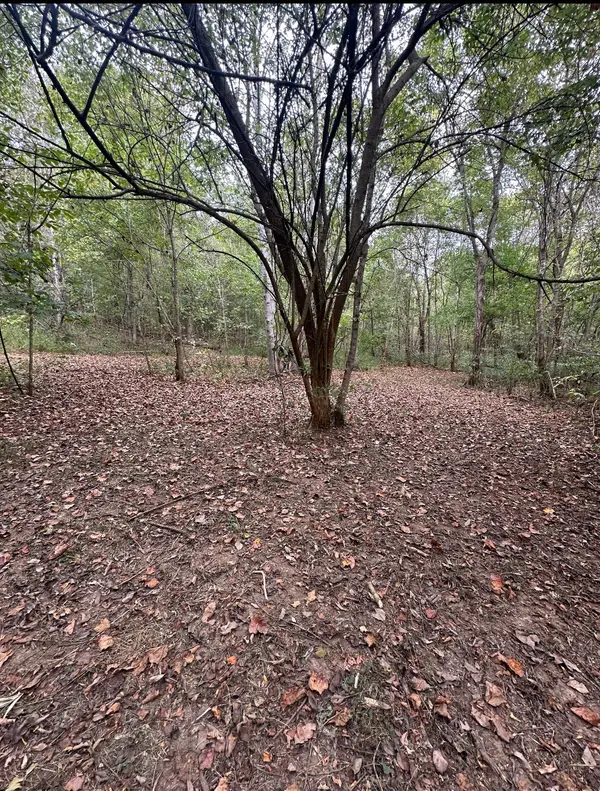 20 Cedar Bluff Road, Lafayette, TN 37083