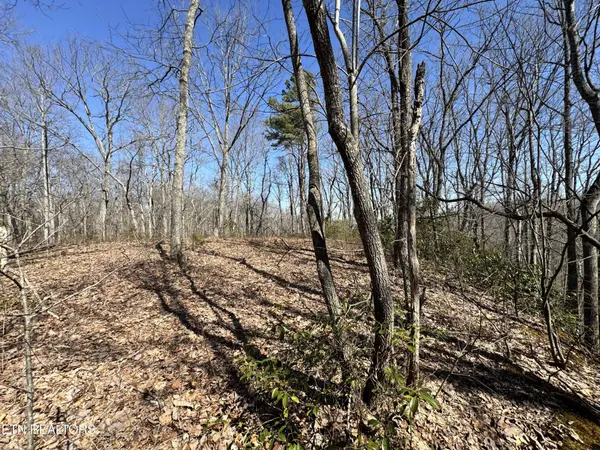 0 Honey Springs Rd, Crawford, TN 38554