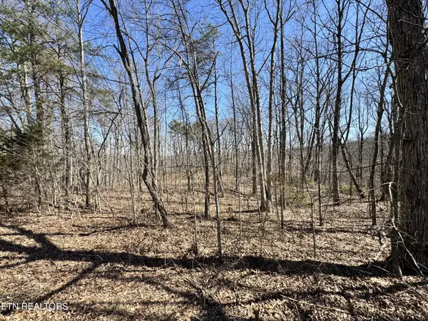 0 Honey Springs Rd, Crawford, TN 38554