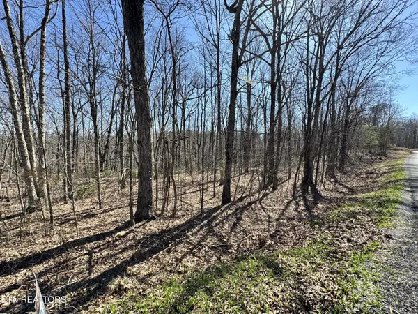 0 Honey Springs Rd, Crawford, TN 38554