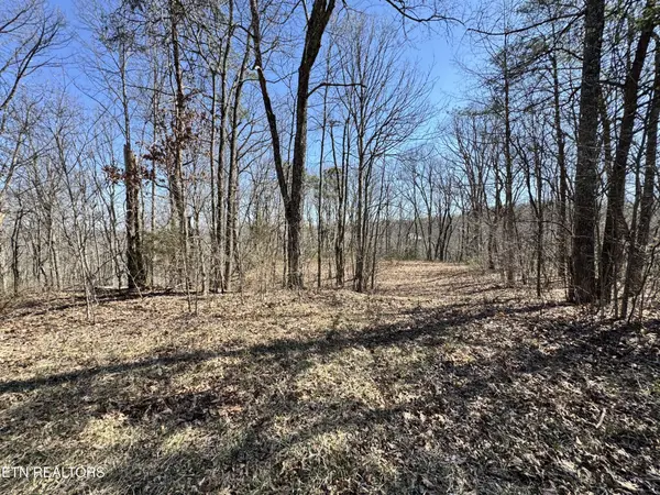 0 Honey Springs Rd, Crawford, TN 38554