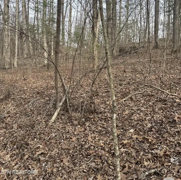 0 Brown Creek Drive, Crossville, TN 38571