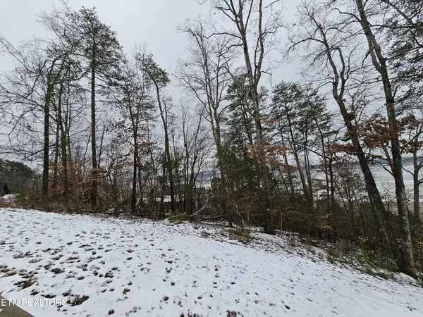 0 Kammann Cove, Baneberry, TN 37890