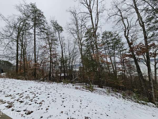 0 Kammann Cove, Baneberry, TN 37890