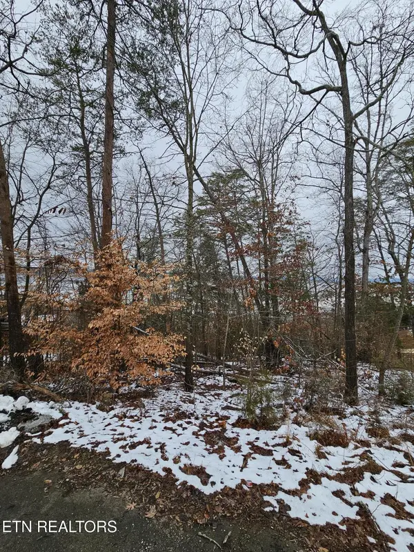 0 Kammann Cove, Baneberry, TN 37890