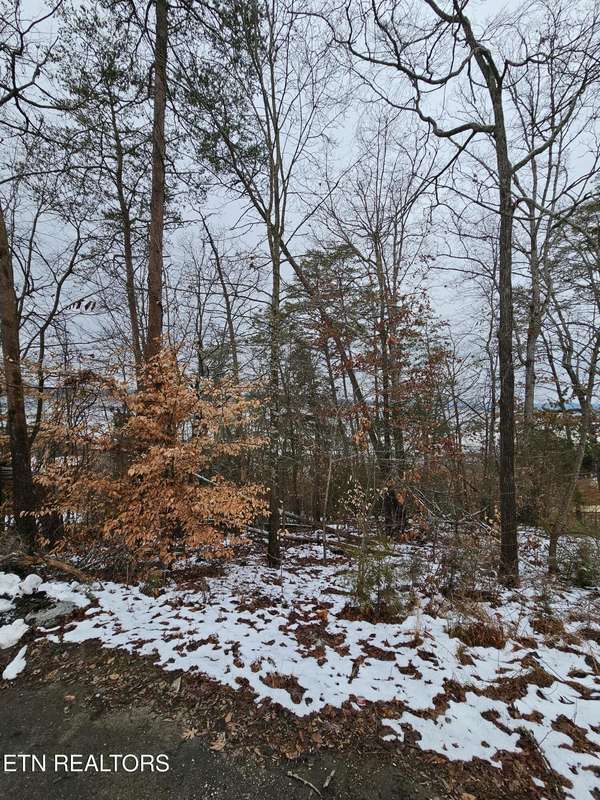 0 Kammann Cove, Baneberry, TN 37890