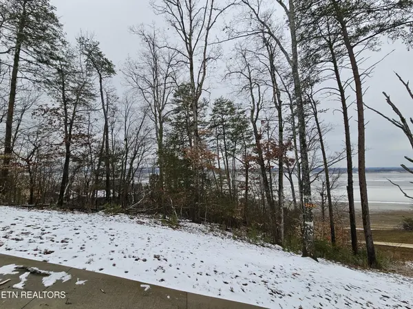0 Kammann Cove, Baneberry, TN 37890