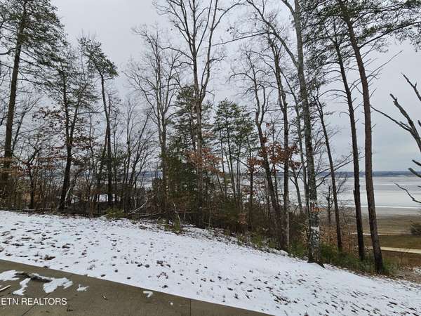 0 Kammann Cove, Baneberry, TN 37890