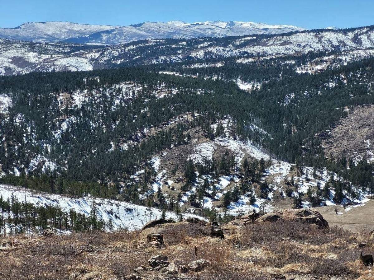 1390 Walking Wind, Bellvue, CO 80512
