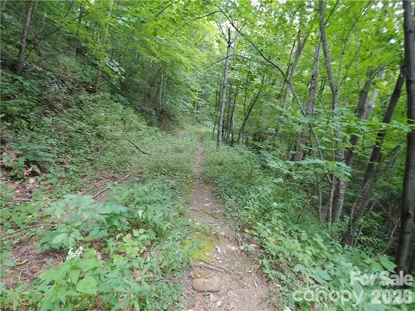 24 Tater Patch RD, Maggie Valley, NC 28751