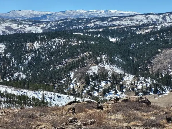 1390 Walking Wind, Bellvue, CO 80512