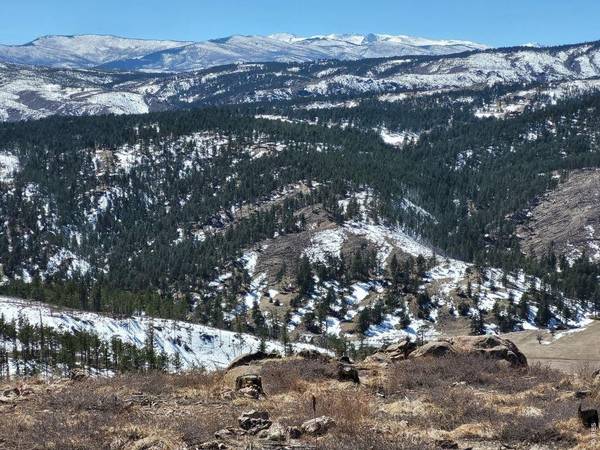 1390 Walking Wind, Bellvue, CO 80512