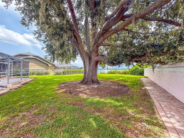 155 HAINESPORT DR, Lake Alfred, FL, 33850 photo 55
