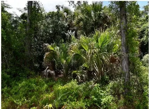 JAGUST RD, North Port, FL 34288