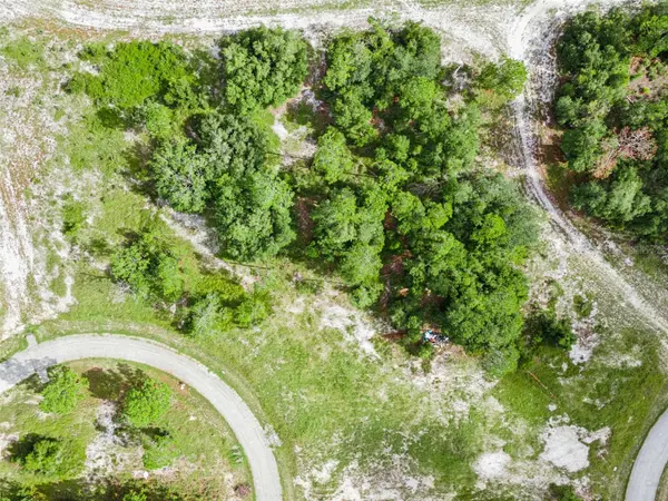 1319 HOMOSASSA CT, Poinciana, FL 34759